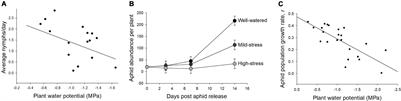 Plant Water Stress Reduces Aphid Performance: Exploring Mechanisms Driven by Water Stress Intensity